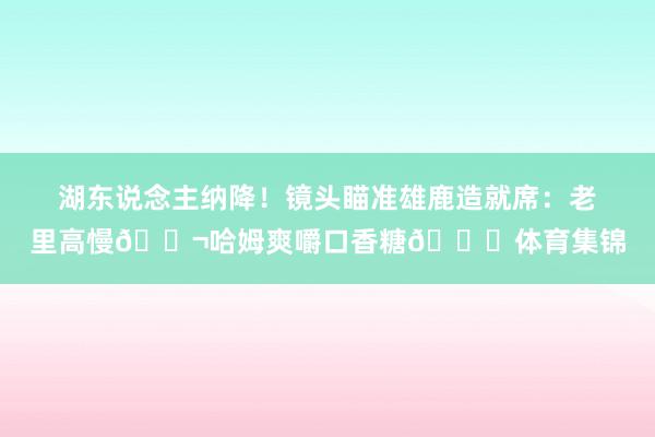 湖东说念主纳降！镜头瞄准雄鹿造就席：老里高慢🚬哈姆爽嚼口香糖😂体育集锦