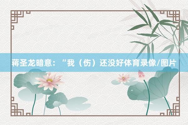 蒋圣龙暗意：“我（伤）还没好体育录像/图片