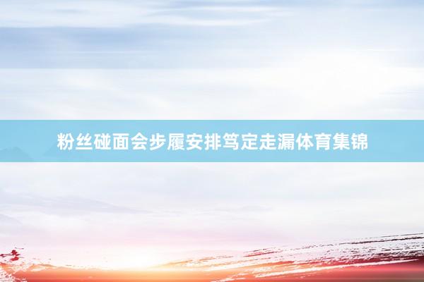 粉丝碰面会步履安排笃定走漏体育集锦