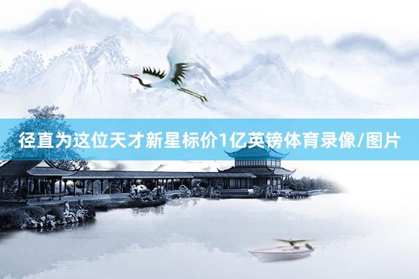 径直为这位天才新星标价1亿英镑体育录像/图片