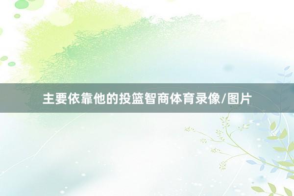 主要依靠他的投篮智商体育录像/图片