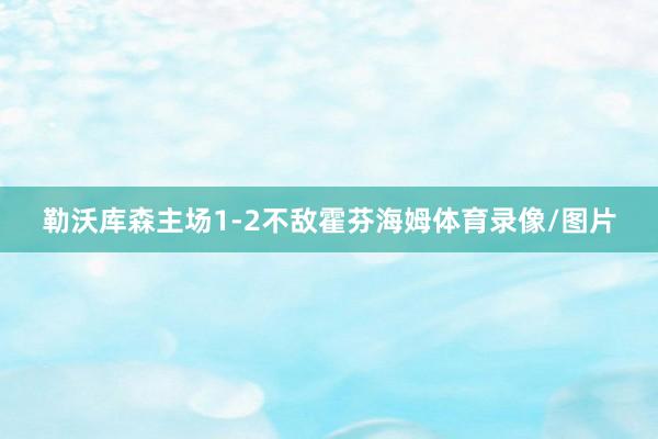 勒沃库森主场1-2不敌霍芬海姆体育录像/图片