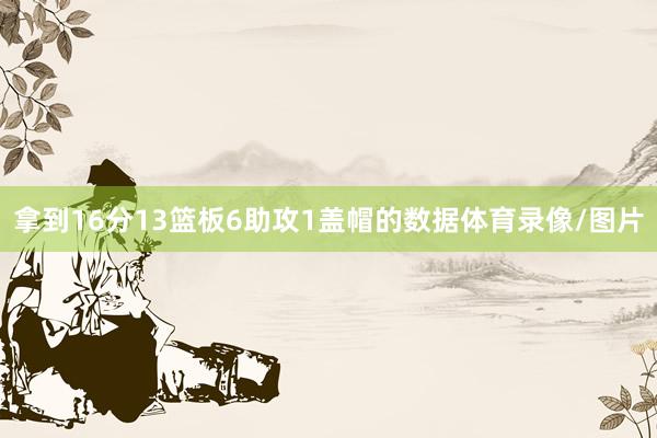 拿到16分13篮板6助攻1盖帽的数据体育录像/图片