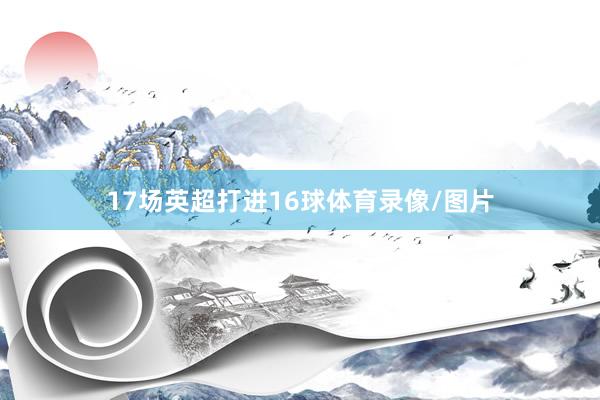 17场英超打进16球体育录像/图片