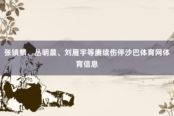 张镇麟、丛明晨、刘雁宇等赓续伤停沙巴体育网体育信息