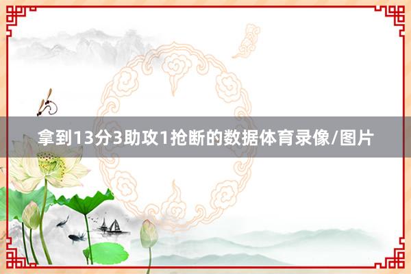拿到13分3助攻1抢断的数据体育录像/图片