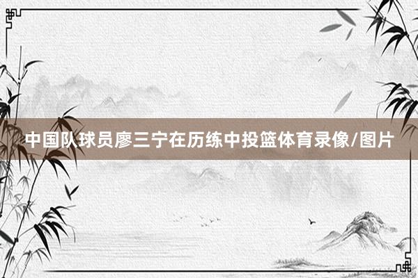 中国队球员廖三宁在历练中投篮体育录像/图片