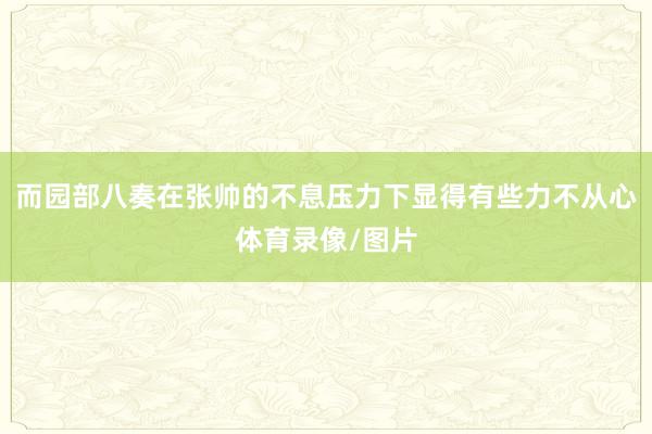 而园部八奏在张帅的不息压力下显得有些力不从心体育录像/图片
