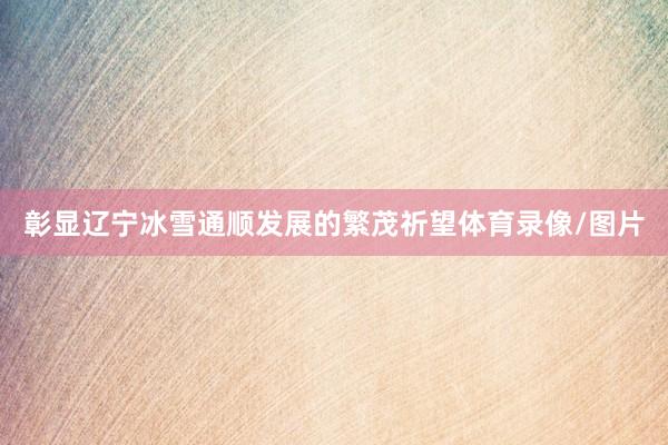 彰显辽宁冰雪通顺发展的繁茂祈望体育录像/图片