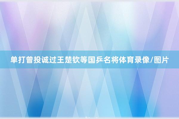 单打曾投诚过王楚钦等国乒名将体育录像/图片